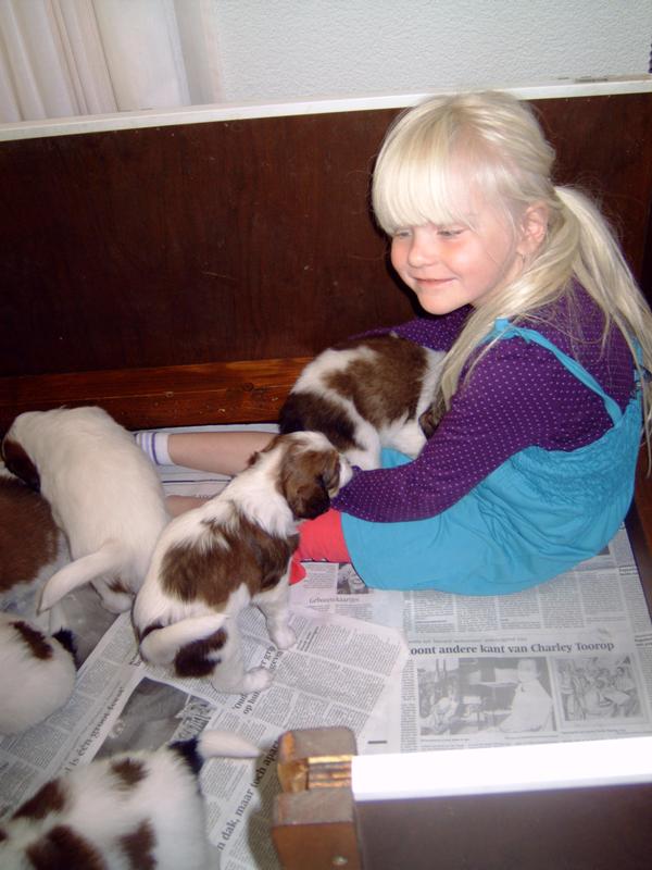 Puppies